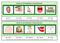 Setzleiste-Körperteile.pdf